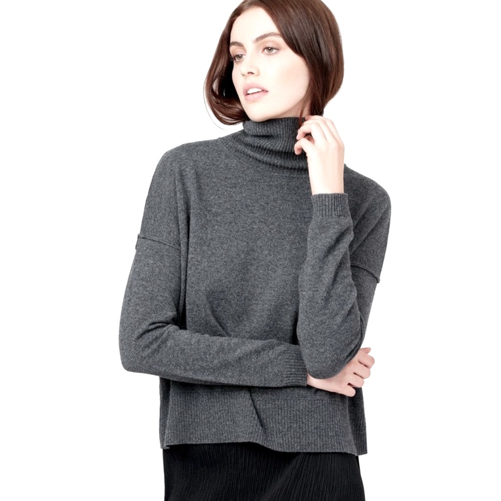 Cuyana wool/cashmere turtleneck